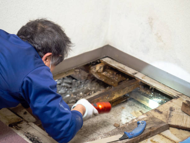 Best Crawl Space Mold Removal  in Glenrock, WY