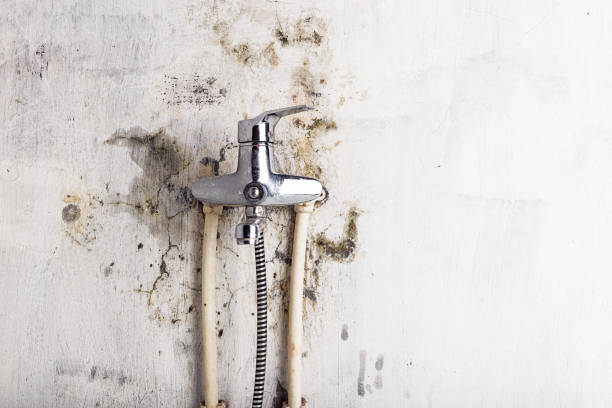 Best Local Mold Removal Service  in Glenrock, WY