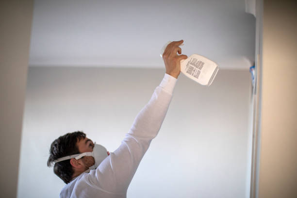 Best Affordable Mold Removal  in Glenrock, WY