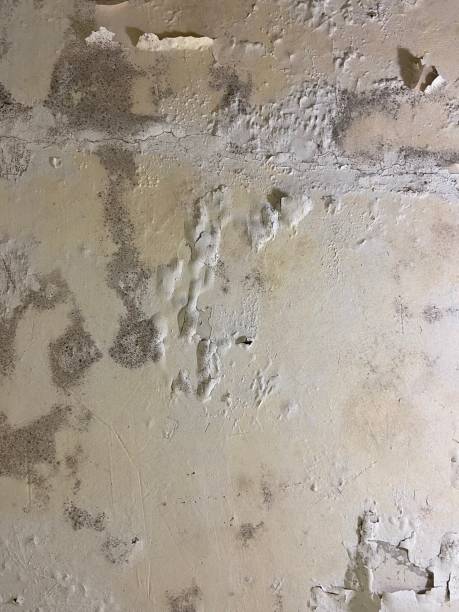 Water Damage Restoration in Glenrock, WY