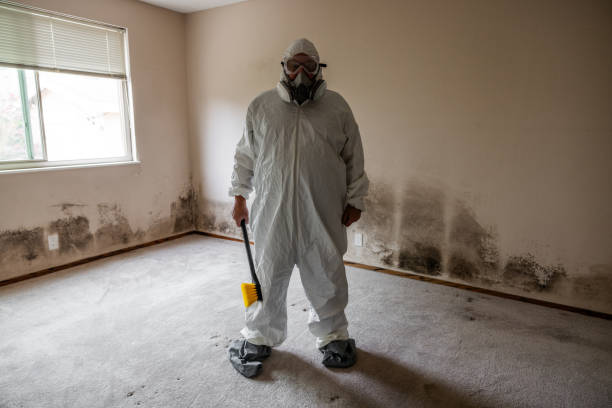 Best Commercial Mold Removal  in Glenrock, WY
